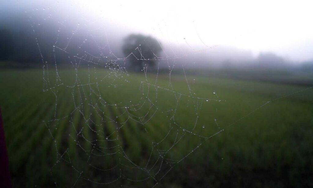 dropbox 8737.idj.029.22 problems