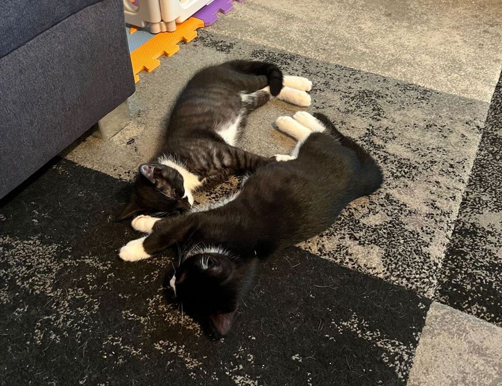 errorcode dropbox 8737.idj.029.22