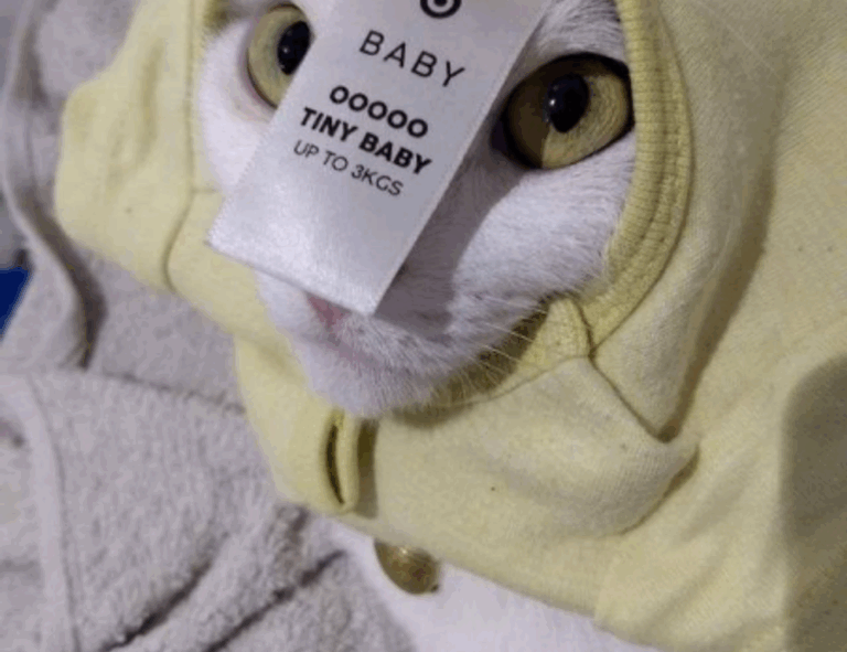 food infoguide fhthrecipe