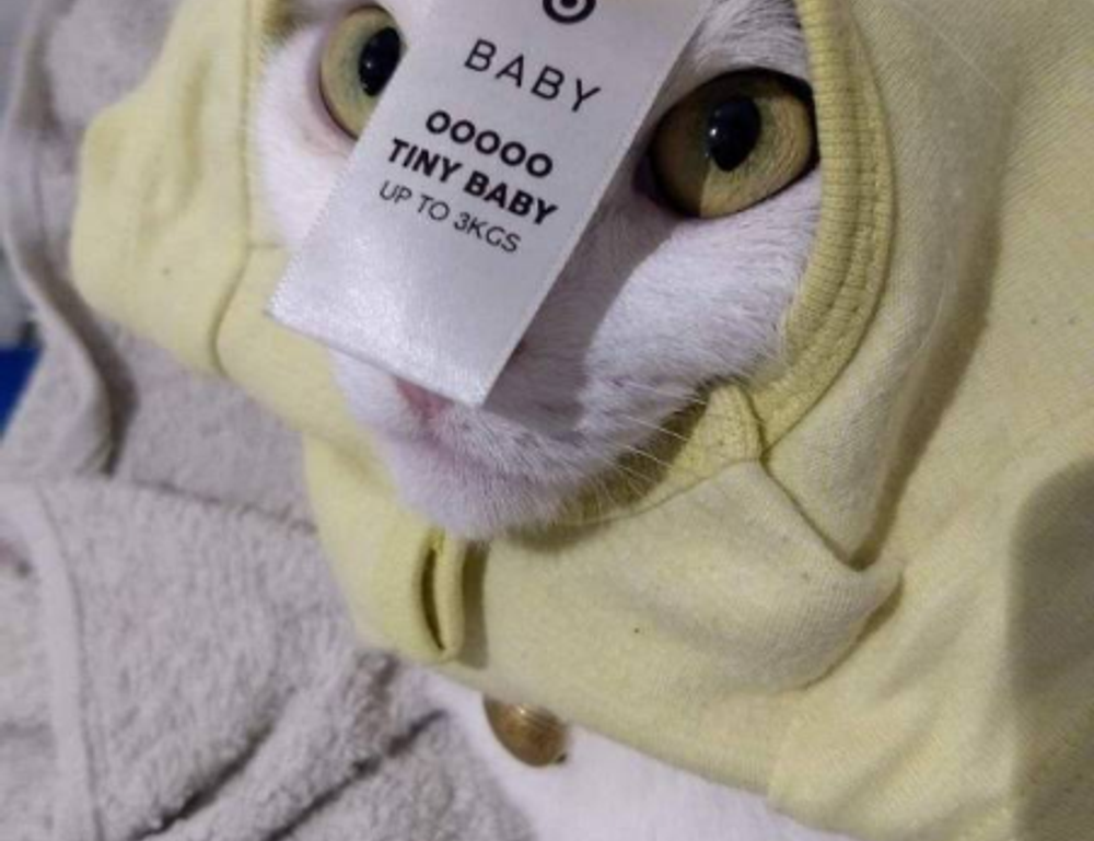 food infoguide fhthrecipe