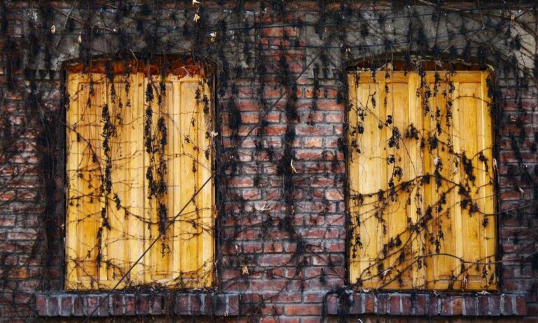 trend of meetshaxs software