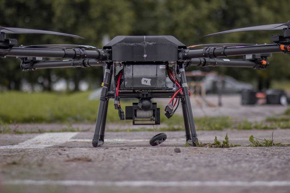 efficiency advantage