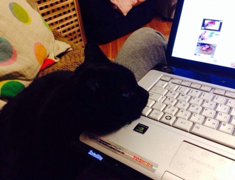 food named nummazaki