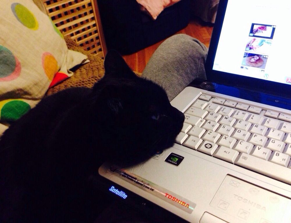 food named nummazaki