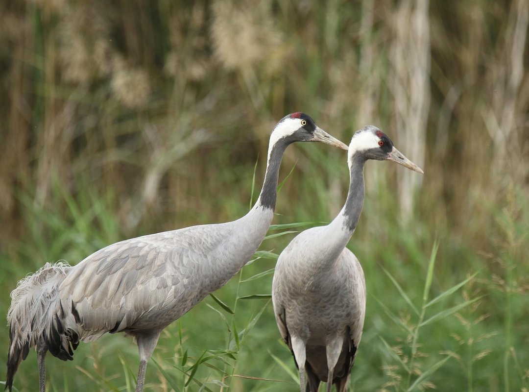 Unhealthy Snacks Fhthgoodfood