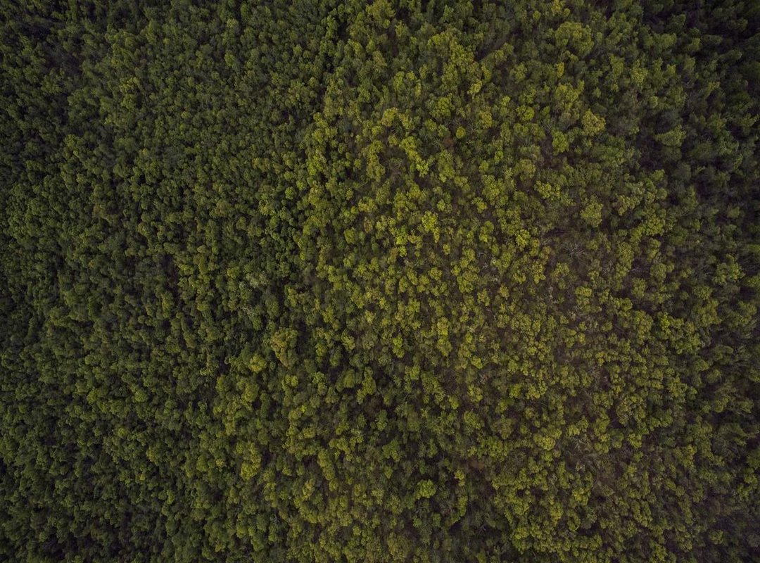 Investigating the 'Tara' in Your Search: What It Could Mean