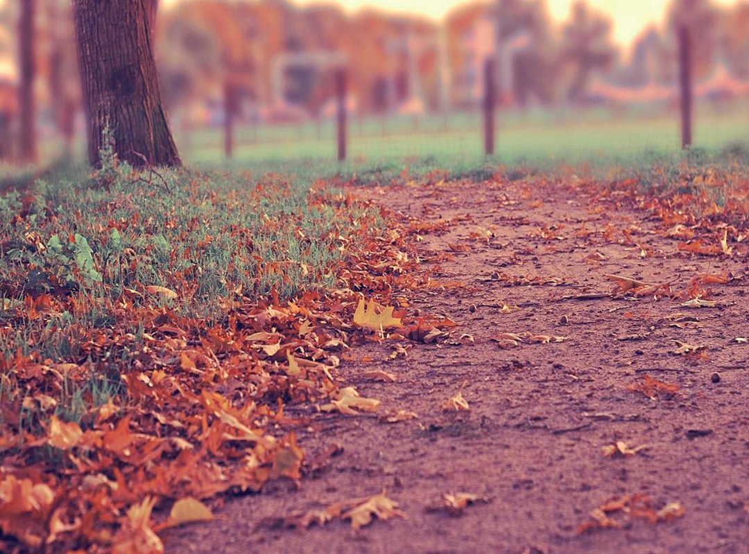 Practical Example: Converting 2000 MXN to CLP