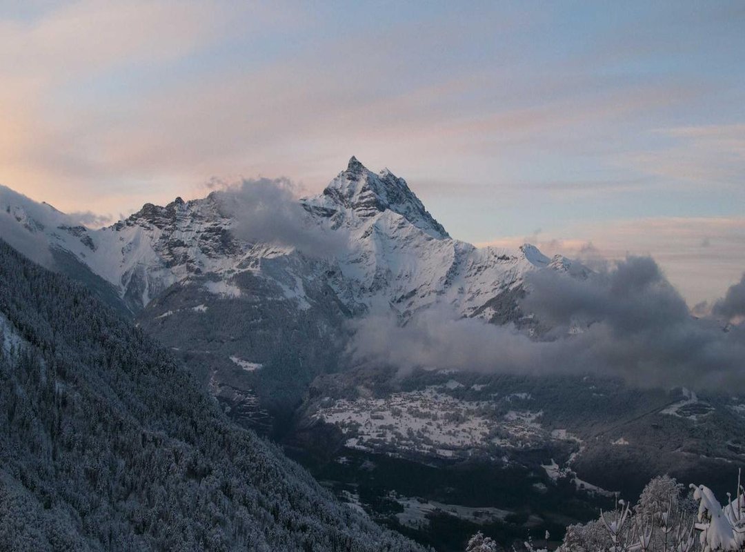 Official vs. Symbolic: Answering the 1924 Flag Question