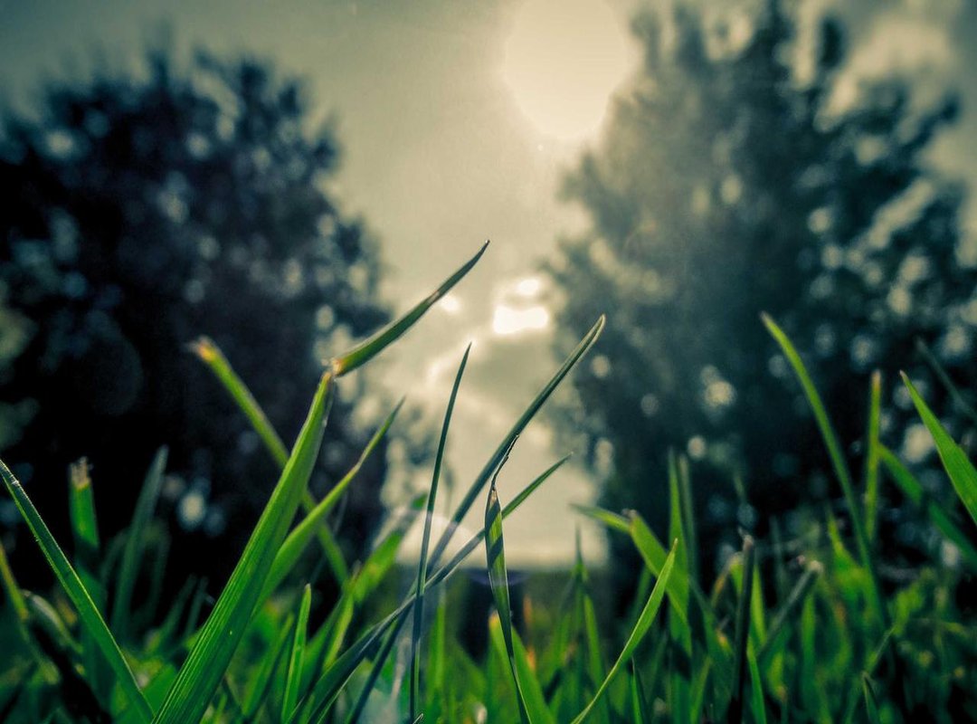 Global Perspective: How Europe Stacks Up Against the World