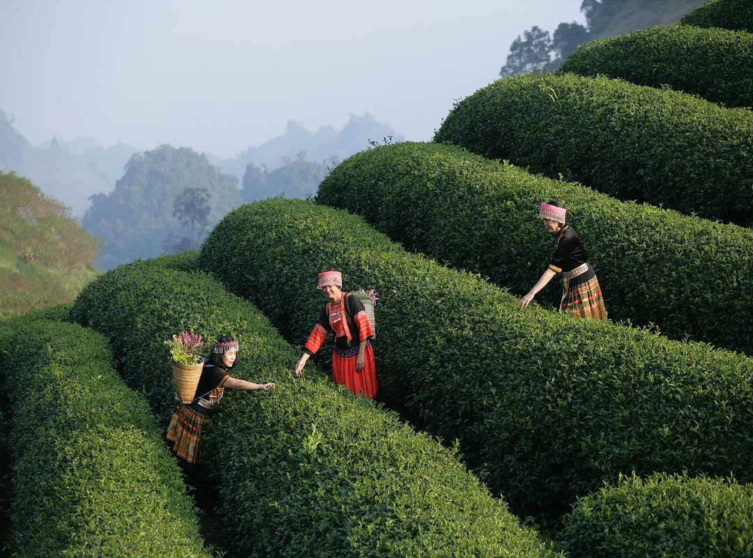 Reported Effects and Potential User Experiences