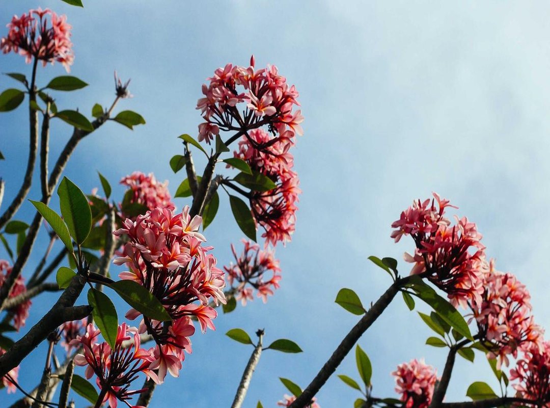 The Dining Experience: Seating, Peak Times, and Amenities