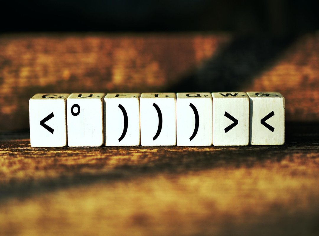 Understanding the Symbolism and Themes