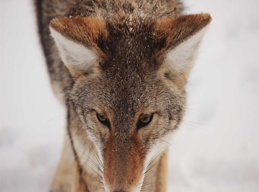 Planning Your Trip: Parking and Navigating Port Central