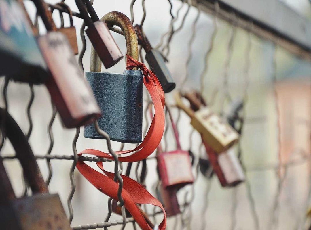 Taking the Picture: Step-by-Step Guide