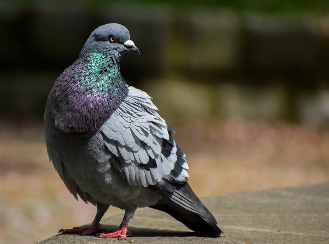 What Sets Trade 500 Eprex Apart from the Competition?