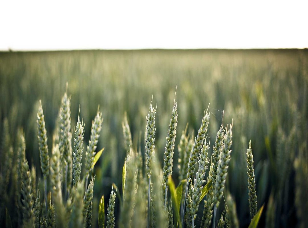 Example: Plotting a 3x3 Matrix in MATLAB