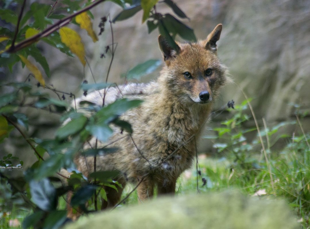 Top Alternatives to Check Out While You Wait